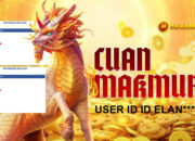 Cuan Besar! Member DEWASPORT88 Menang Rp80 Juta di Ways of the Qilin!