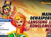 Testimoni Kemenangan DEWASPORT88 Member Tembus 100 Juta di Wukong Black Scatter