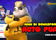 Testimoni Kemenangan DEWASPORT88: Member DOAA* Tembus 40 Juta di Hip Hop Panda